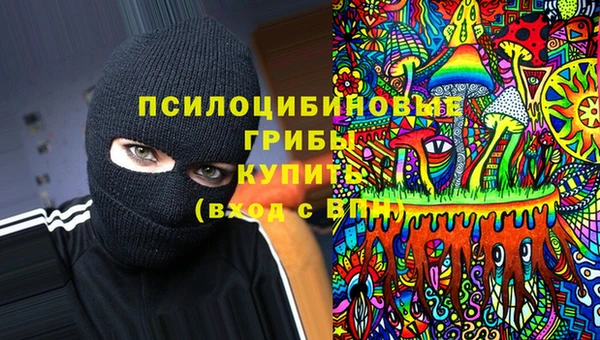 ALPHA-PVP Заводоуковск