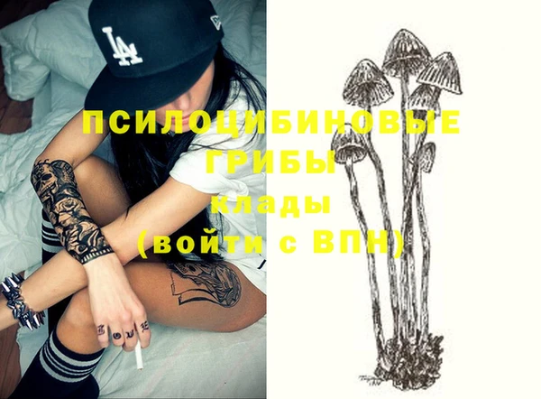 мескалин Каменка