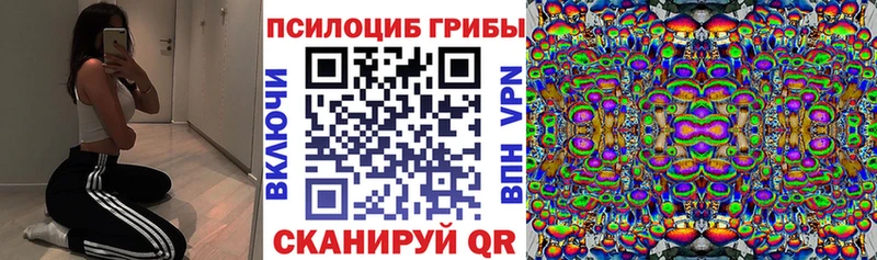 Купить закладки  Лысьва  Галлюциногенные грибы GOLDEN TEACHER 